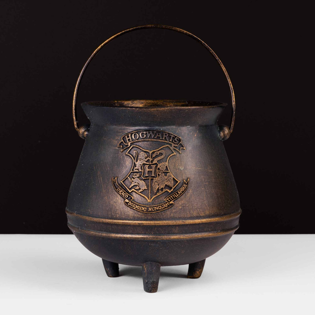 Harry Potter Hogwarts Cauldron 3D Pencil Holder
