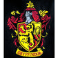 Harry Potter Gryffindor Bath Towel - GeekCore