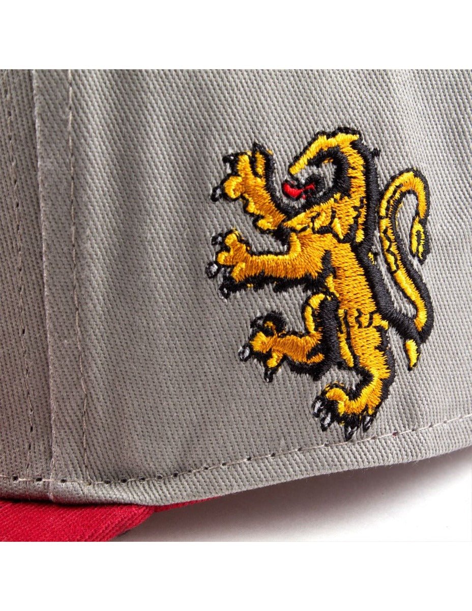 Harry Potter Gryffindor College Style Snapback Cap - GeekCore
