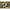 Jumanji Mini Prop Replica Electronic Board - GeekCore