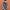 Loungefly Collectiv x Star Wars Rebel Alliance Varsity Jacket - GeekCore