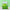Loungefly x Disney Tinkerbell Accordion Wallet - GeekCore