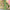 Loungefly x Disney Tinkerbell Pastel Flowers AOP Mini Backpack - GeekCore