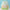 Loungefly x Disney Winnie the Pooh and Friends Pastel Dandelion Fields Mini Backpack - GeekCore