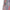 Loungefly x Mattel Barbie Nutcracker Mini Backpack - GeekCore