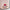 Loungefly x Pokemon Pikachu & Eevee Floral Pokeball Crossbody - GeekCore