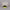Overwatch Genji Snapback Cap - GeekCore